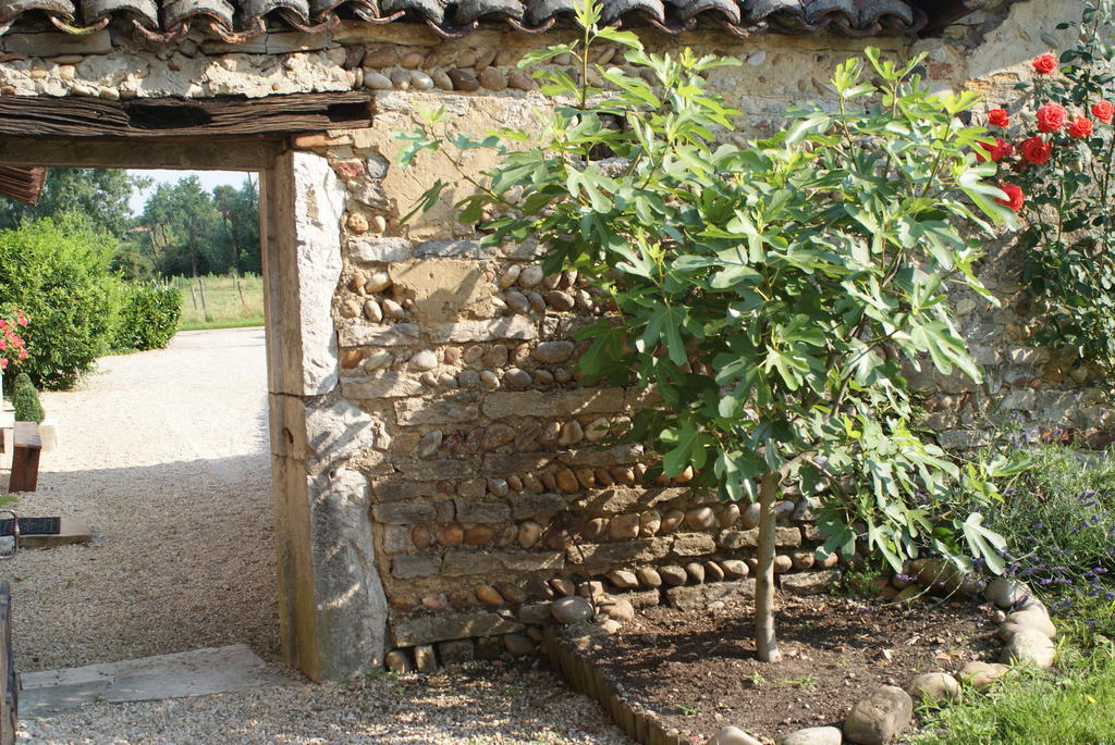 Le Moulin De Champagne Bed & Breakfast Viriat Bagian luar foto