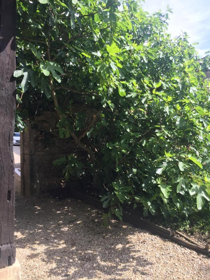 Le Moulin De Champagne Bed & Breakfast Viriat Bagian luar foto